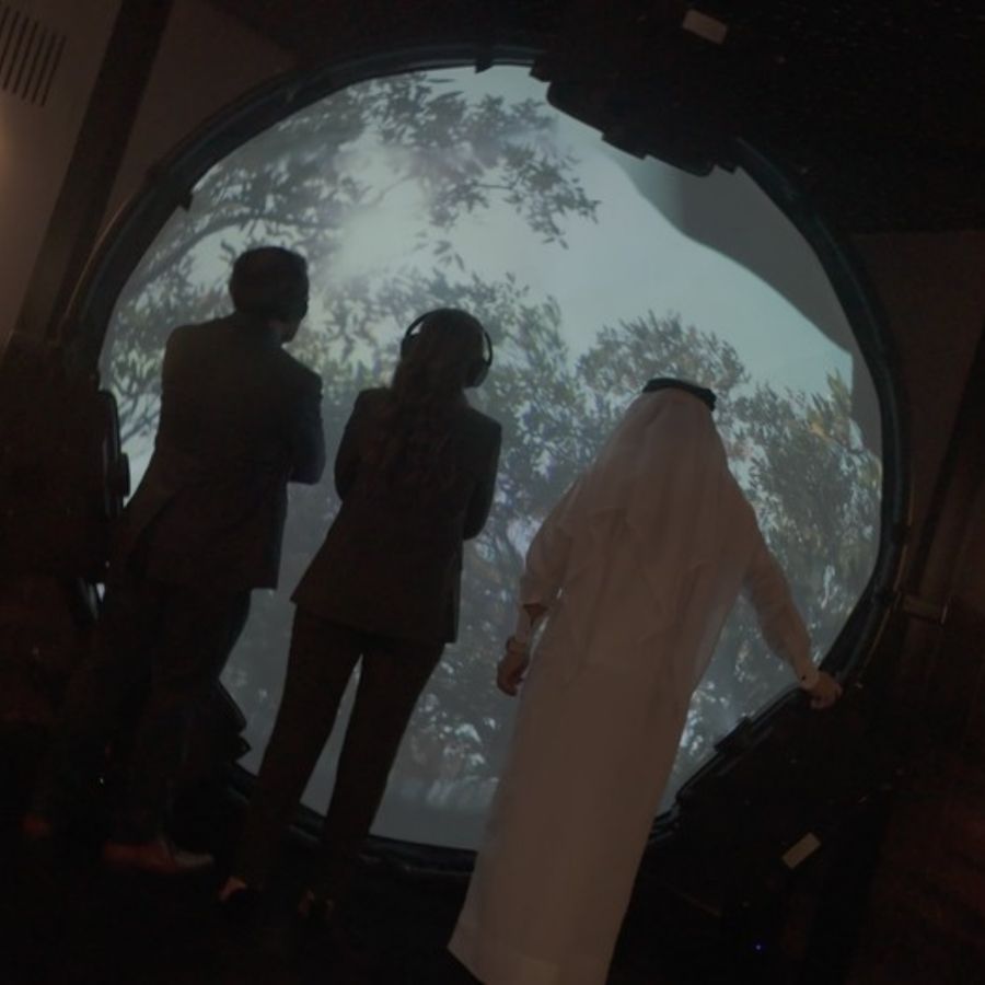 Visitors in silhouette watching the immersive mangrove video at the World Governments Summit